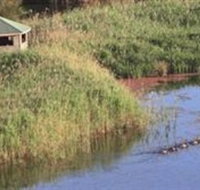 Spring Creek Wetlands Walk - Accommodation Mt Buller