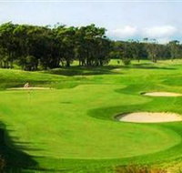 Shoalhaven Heads Golf Club - Accommodation Mt Buller
