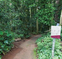 Walk with the Birds boardwalk