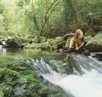 Dave's Creek circuit - Accommodation Mt Buller
