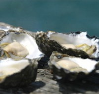 Jim Wilds Oyster Service - Accommodation Mt Buller