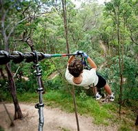 TreeTop Challenge - Accommodation Mt Buller