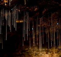 Tamborine Mountain Glow Worm Caves - Accommodation Mt Buller