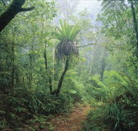 Wagawn - Accommodation Mt Buller