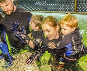 One Mile Beach NSW Accommodation Mt Buller