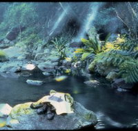 Coomera circuit - Accommodation Mt Buller