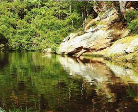 Numinbah Valley Adventure Trails - Accommodation Mt Buller 1