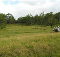 Numinbah Valley Adventure Trails - Accommodation Mt Buller