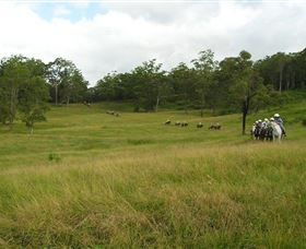 Numinbah Valley Adventure Trails - Accommodation Mt Buller 0