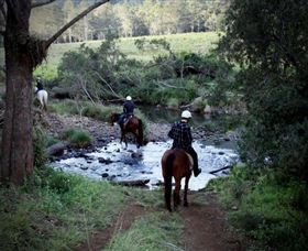 Numinbah Valley Adventure Trails - Accommodation Mt Buller 3