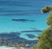 Jervis Bay Marine Park - Accommodation Mt Buller