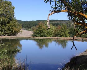 Oak Grove Walk, Balingup - Accommodation Mt Buller 0