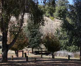Oak Grove Walk, Balingup - Accommodation Mt Buller 2