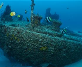 Curtain Artificial Reef Dive Site - Accommodation Mt Buller 1