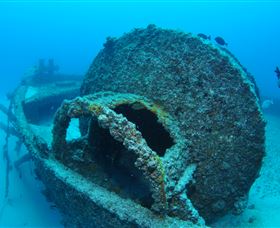 Curtain Artificial Reef Dive Site - Accommodation Mt Buller 3