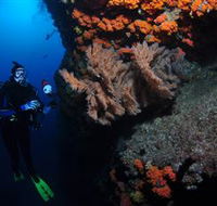 Gotham City Dive Site - Accommodation Mt Buller