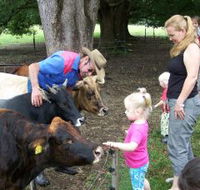 Crystal Creek Miniatures