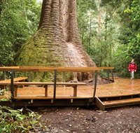 Burrawan State Forest - Accommodation Mt Buller