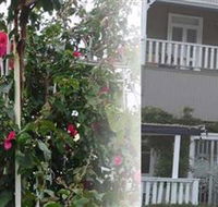 House of Gabriel - Accommodation Mt Buller