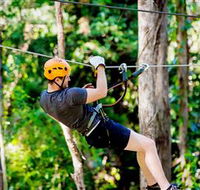 TreeTop Challenge Currumbin - Accommodation Mt Buller