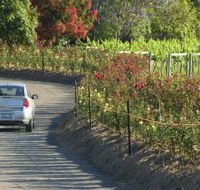 Cassegrain Wines - Accommodation Mt Buller