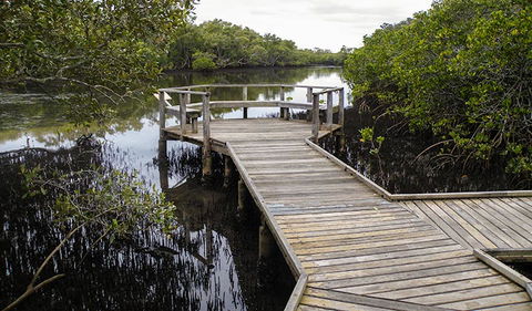 Walk On Water Walking Track - Accommodation Mt Buller 1