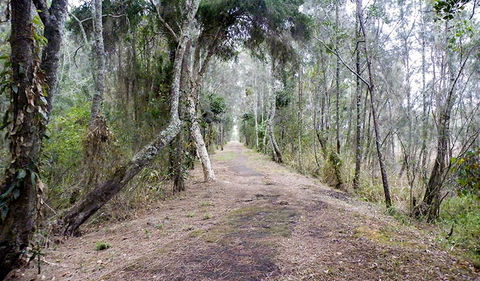 Walk On Water Walking Track - Accommodation Mt Buller 2
