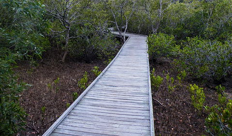 Walk On Water Walking Track - Accommodation Mt Buller 3