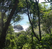 Rainforest walking track - Accommodation Mt Buller