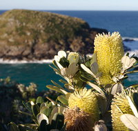 Green Island walking track - Accommodation Mt Buller