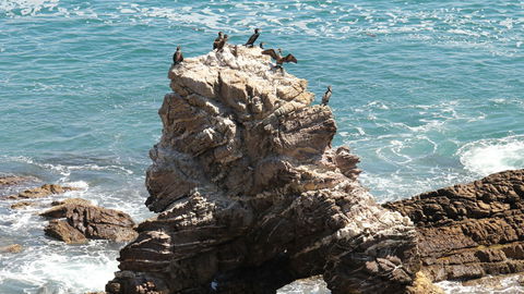Ben Boyd National Park - Accommodation Mt Buller 2