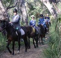 Mirravale Horse Riding School - Accommodation Mt Buller