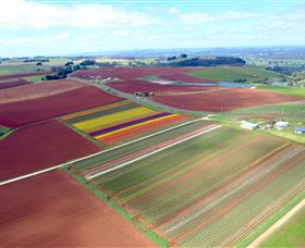 Table Cape - Accommodation Mt Buller 4