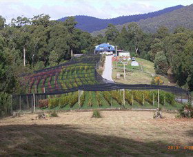 North Motton TAS Accommodation Mt Buller