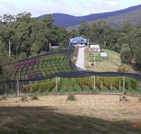 Motton Terraces - Accommodation Mt Buller