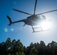 Tall Timbers Adventure Tours - Accommodation Mt Buller