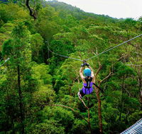 Canyon Flyer - Accommodation Mt Buller