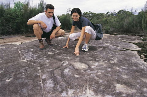 Sydney Coast Walks - Accommodation Mt Buller 2