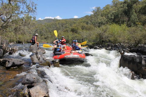 Rafting Australia - Accommodation Mt Buller 2
