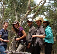 Echidna Walkabout Nature Tours - Accommodation Mt Buller