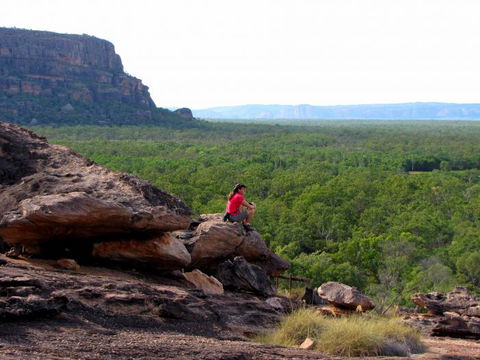 Echidna Walkabout Nature Tours - Accommodation Mt Buller 21