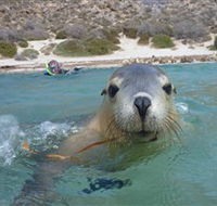 Calypso Star Charters - Accommodation Mt Buller