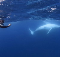 Sunreef Mooloolaba - Accommodation Mt Buller