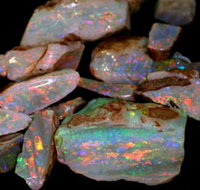 Arid Areas Tours - Accommodation Mt Buller