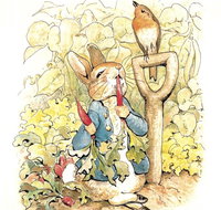 Mount Isa Civic Centre - Accommodation Mt Buller