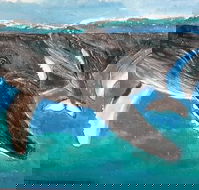 Kaz Art-Whitewash Gallery - Accommodation Mt Buller