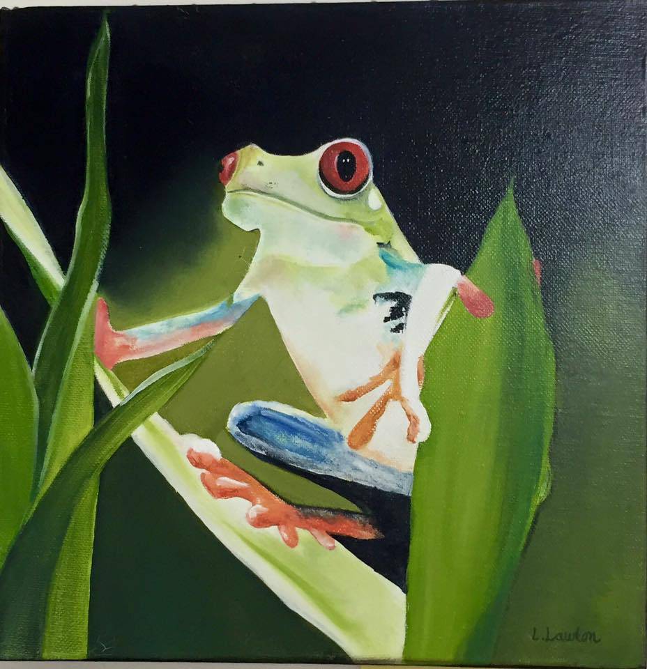 Gorokan NSW Accommodation Mt Buller