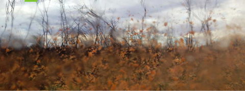 Watch This Space - Accommodation Mt Buller 2