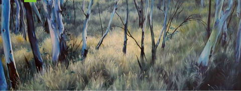 Watch This Space - Accommodation Mt Buller 3