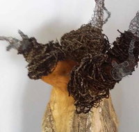 Caldera Wildscapes Gallery - Accommodation Mt Buller